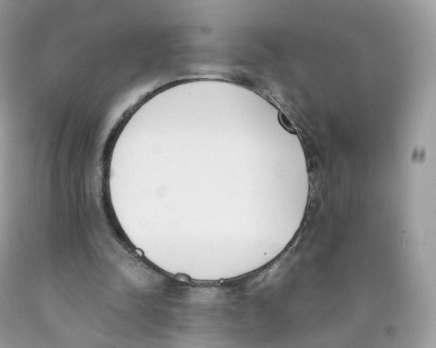 X0000089830342200707262028