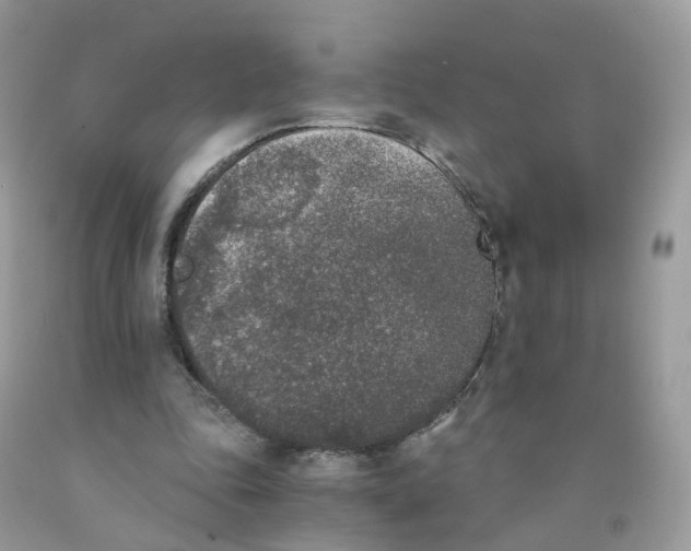 X0000089830343200707262028