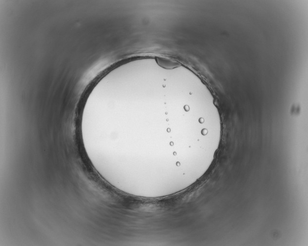 X0000089830344200707262028
