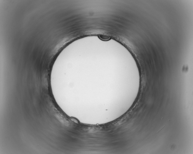 X0000089830345200707262028