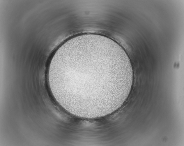 X0000089830346200707262028