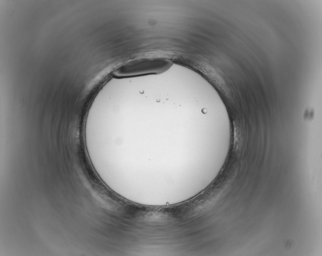 X0000089830348200707262028