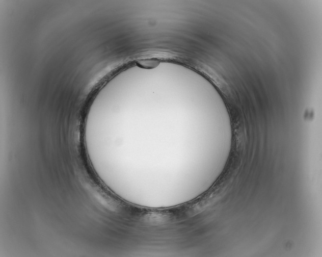 X0000089830350200707262028