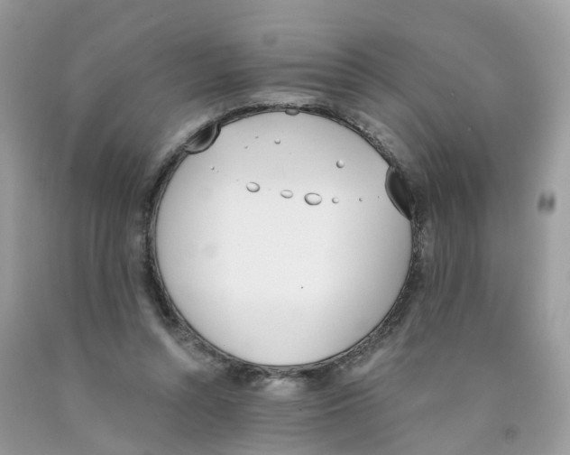 X0000089830352200707262028