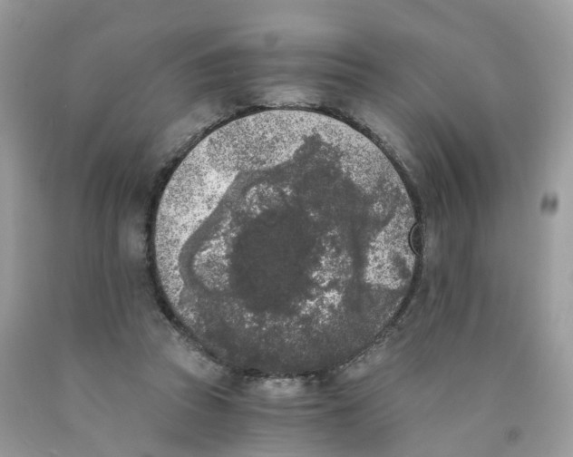 X0000089830353200707262028