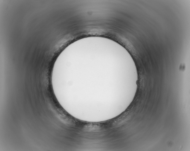 X0000089830354200707262028