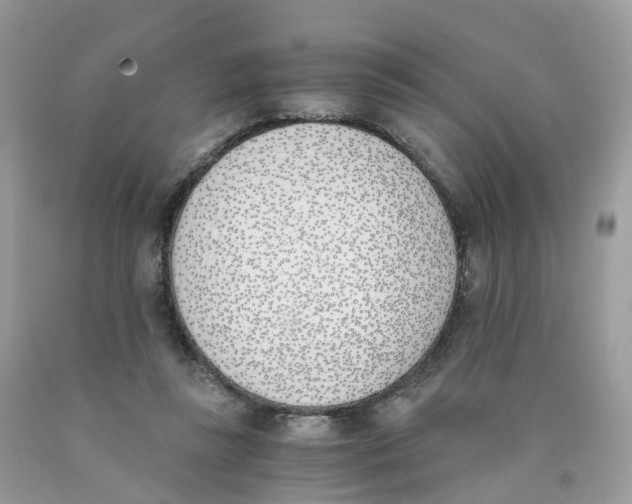 X0000089830355200707262028