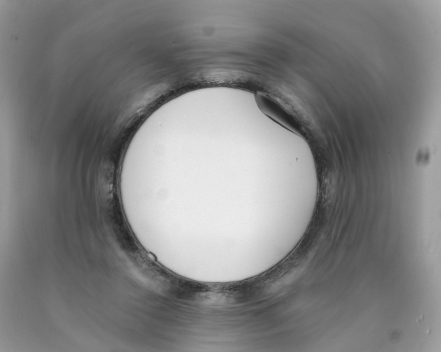 X0000089830356200707262028