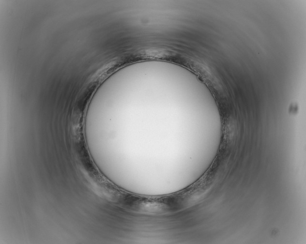 X0000089830360200707262028