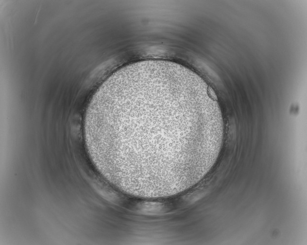 X0000089830361200707262028