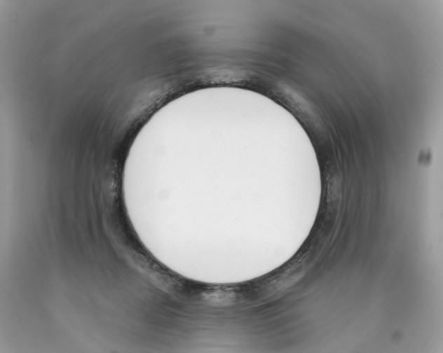 X0000089830362200707262028
