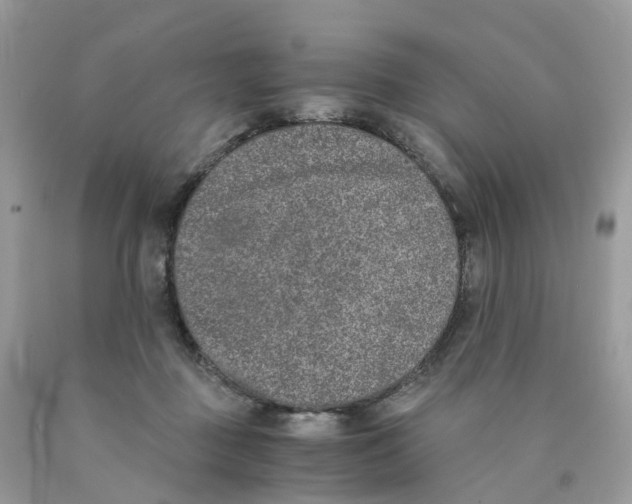 X0000089830363200707262028