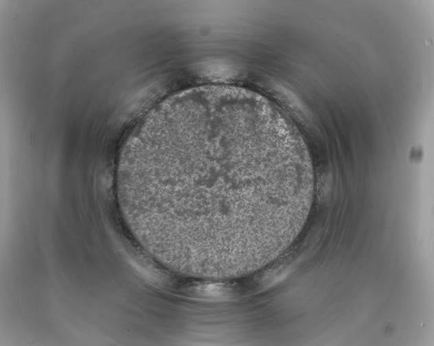 X0000089830365200707262028