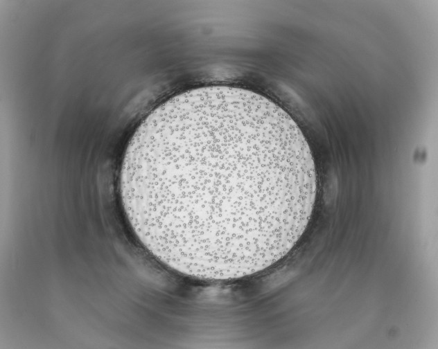 X0000089830366200707262028