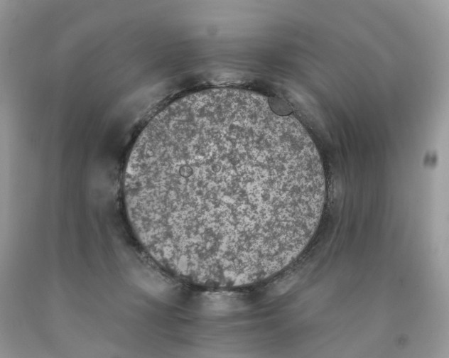 X0000089830367200707262028
