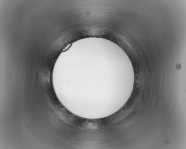 X0000089830368200707262028