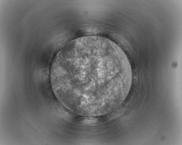 X0000089830369200707262029