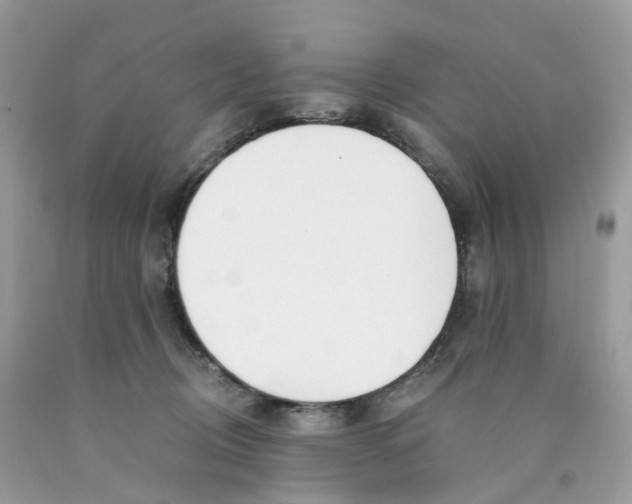 X0000089830370200707262029