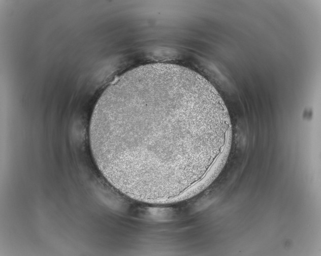 X0000089830371200707262029