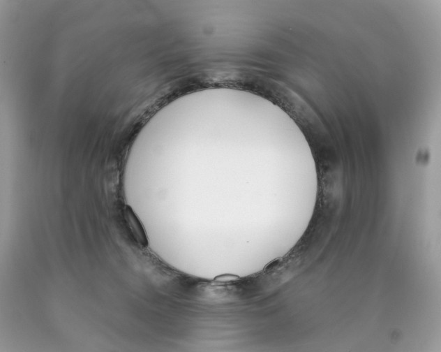 X0000089830372200707262029