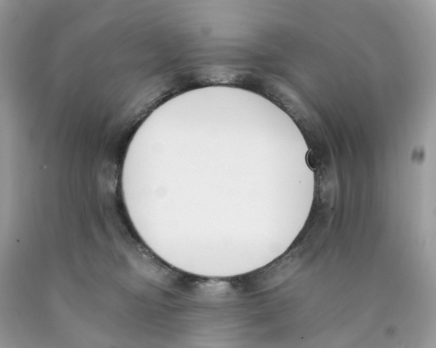 X0000089830374200707262029