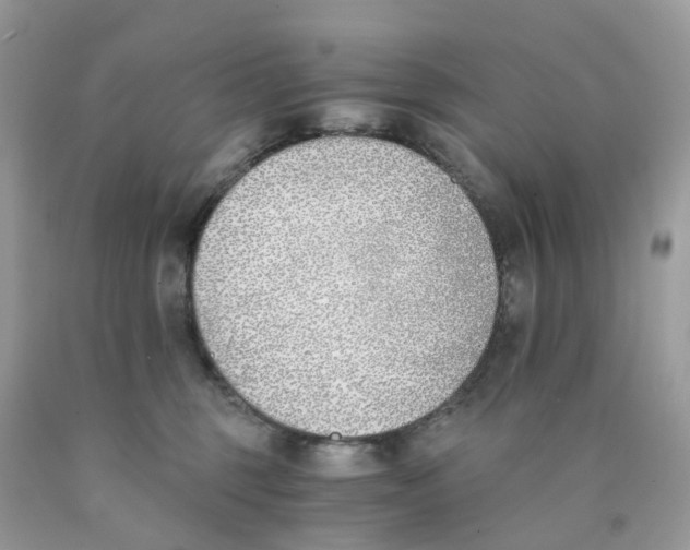 X0000089830375200707262029