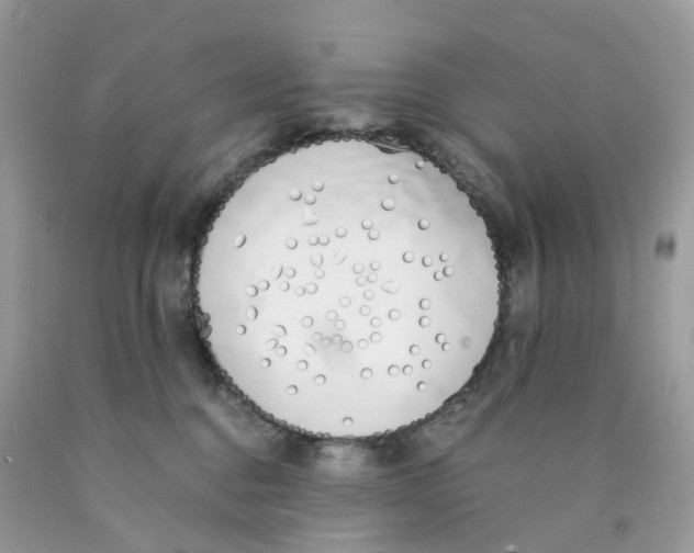 X0000089830376200707262029