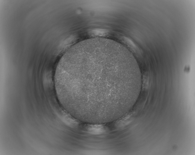 X0000089830377200707262029