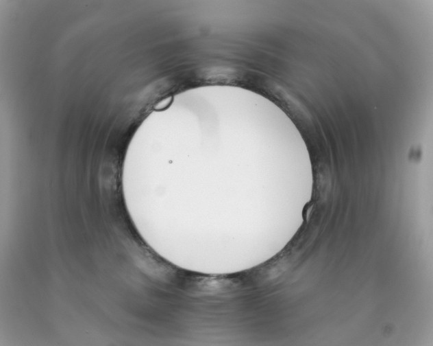 X0000089830379200707262029