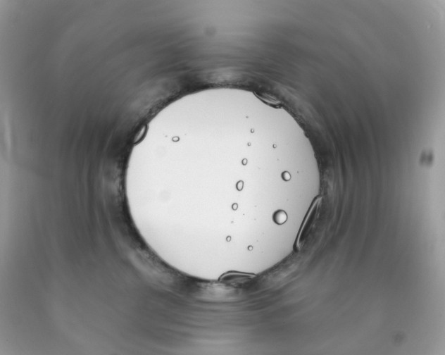 X0000089830380200707262029