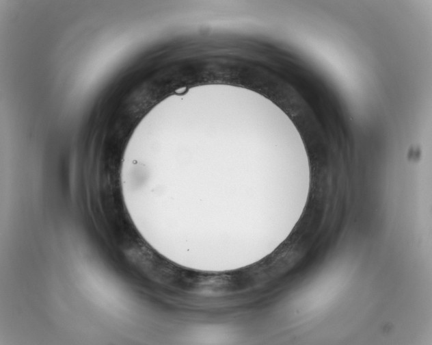 X0000089830382200707262029