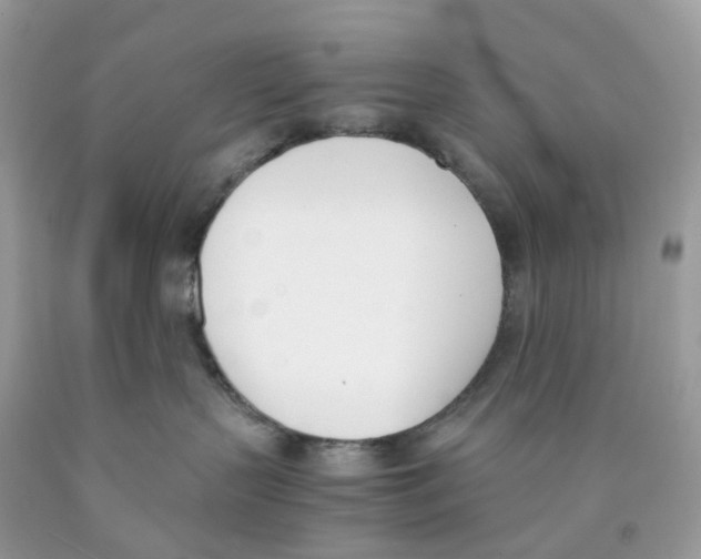 X0000089830383200707262029