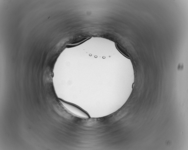 X0000089830384200707262029