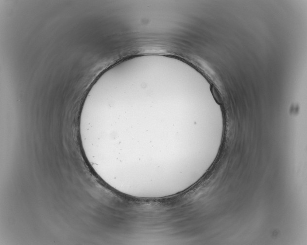 X0000089830385200707262028