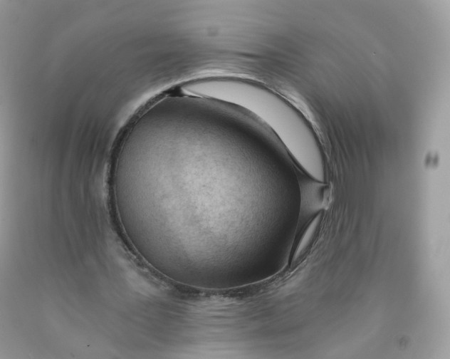 X0000089830387200707262028