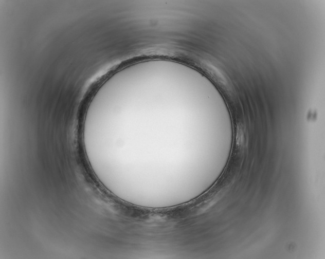 X0000089830388200707262028