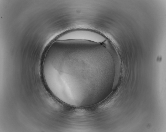 X0000089830391200707262028