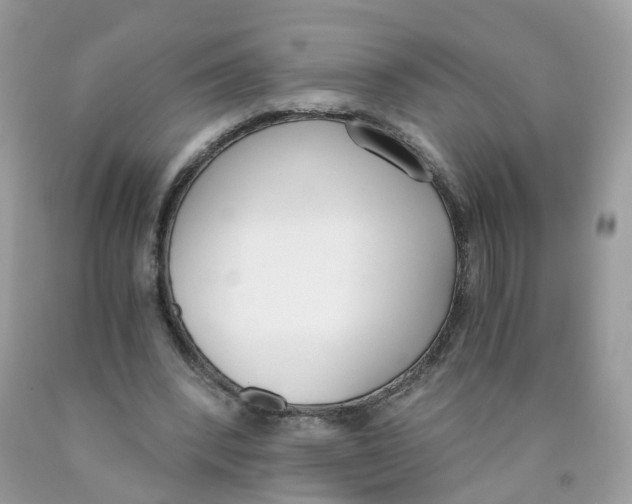 X0000089830392200707262028