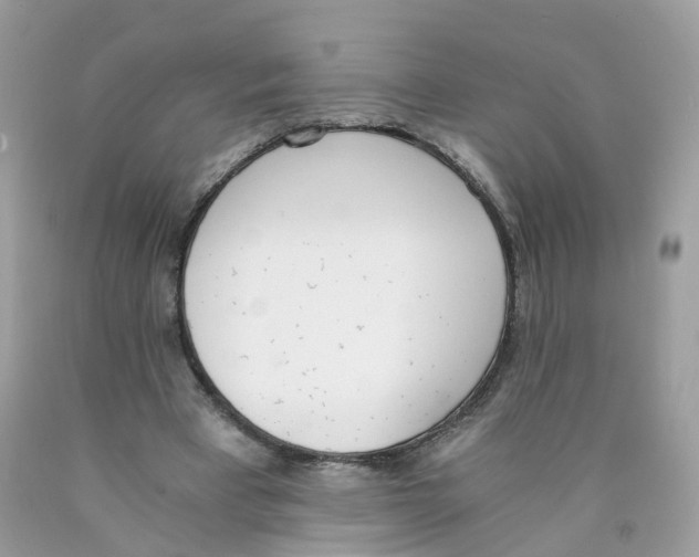 X0000089830393200707262028