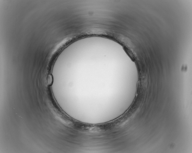 X0000089830395200707262028