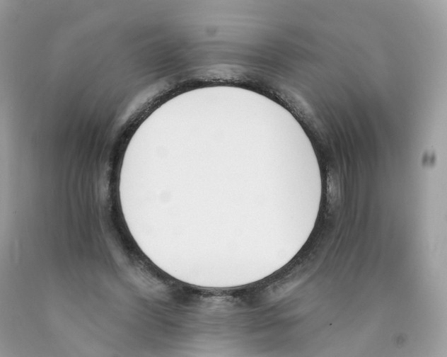 X0000089830396200707262028