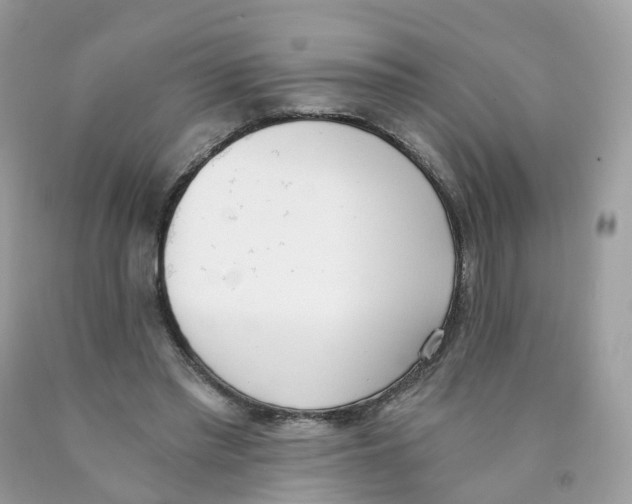 X0000089830397200707262028