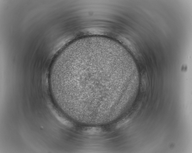 X0000089830398200707262028
