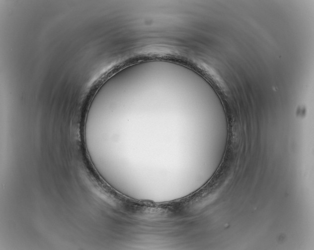 X0000089830399200707262028