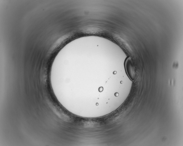 X0000089830400200707262028