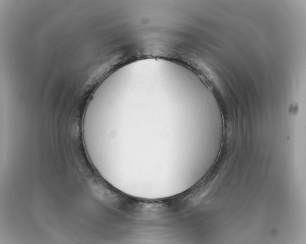 X0000089830401200707262028