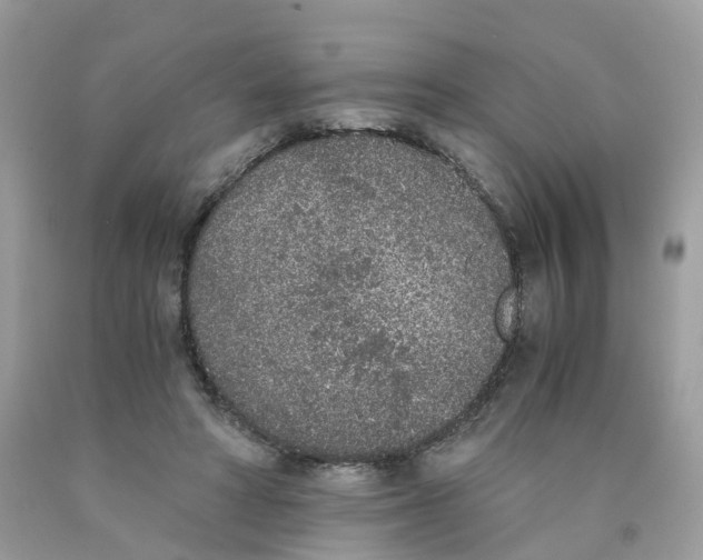X0000089830402200707262028