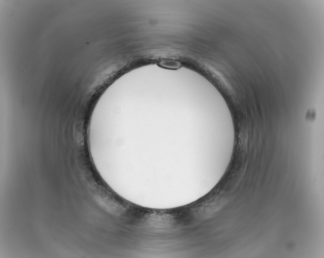 X0000089830403200707262028