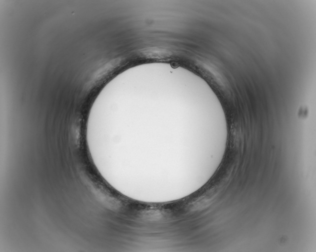X0000089830404200707262028