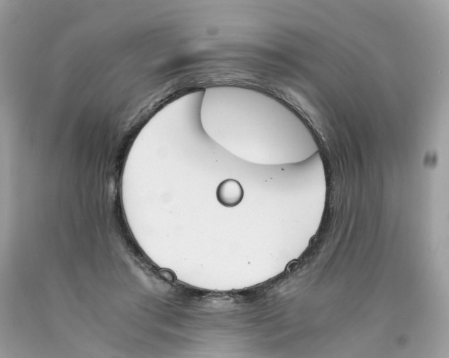X0000089830405200707262028